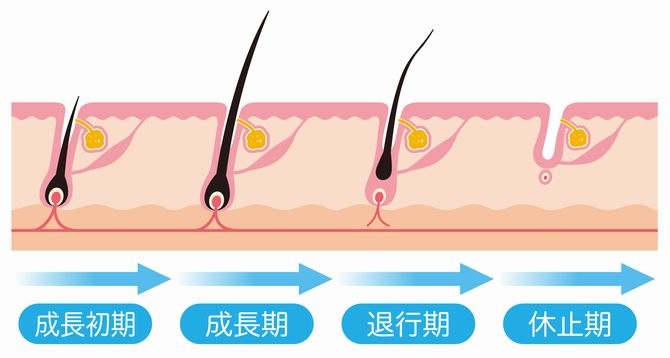 【ハゲ速】地球から薄毛の人がいなくなる!?最新スカルプ成分●●が凄すぎる!その効果とは?